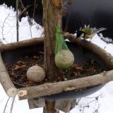 photo 2019-01-12 10-25-54