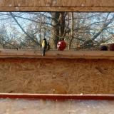 photo 2022-01-14 13-47-29