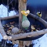 photo 2019-01-14 12-46-21