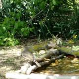 photo 2021-05-05 13-08-04 madarka