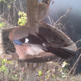 photo 2019-12-19 09-20-15