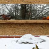 photo 2022-01-22 09-33-39