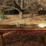 photo 2021-10-26 14-35-52