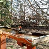 photo 2022-03-05 09-23-14