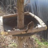 photo 2019-03-14 08-27-36