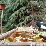 photo 2023-10-20 14-09-19