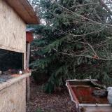 photo 2022-01-01 07-37-57