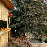 photo 2021-12-22 10-23-31