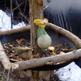 photo 2019-01-17 09-06-39