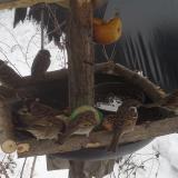 photo 2019-01-27 11-44-44