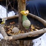 photo 2019-01-15 12-00-01