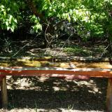 photo 2021-05-10 10-26-21