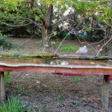 photo 2021-04-23 18-43-36