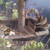 photo 2019-12-08 13-09-36