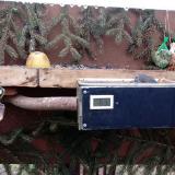 photo 2021-02-08 08-14-07