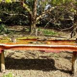 photo 2021-04-12 09-51-36