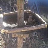 photo 2019-02-23 11-06-56