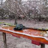 photo 2021-03-24 16-45-35