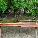 photo 2021-05-12 12-18-42