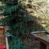 photo 2021-11-12 14-18-22