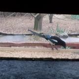 photo 2021-12-09 08-32-07