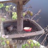 photo 2019-12-06 08-10-45