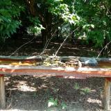 photo 2021-07-23 09-56-14