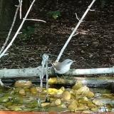 photo 2021-08-23 12-28-24 kisposzata