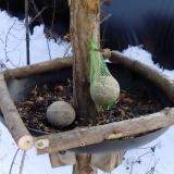 photo 2019-01-11 13-28-13