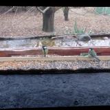 photo 2021-12-10 13-20-41