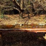 photo 2021-10-27 14-10-06