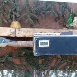 photo 2021-02-13 08-12-09