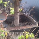 photo 2019-12-14 11-32-17