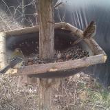 photo 2019-02-24 08-16-07