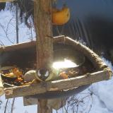 photo 2019-01-27 10-05-10