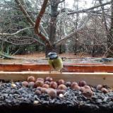 photo 2021-11-04 11-44-57