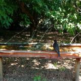 photo 2021-07-08 11-03-30