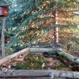 photo 2023-10-07 07-34-51