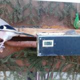 photo 2021-03-03 07-02-36