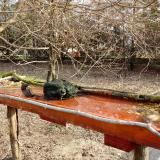 photo 2021-03-19 08-15-24