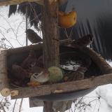 photo 2019-01-27 11-45-25