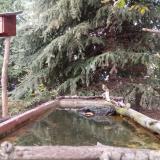 photo 2023-10-10 17-28-03