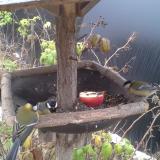 photo 2019-12-06 10-14-32