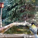 photo 2023-10-12 10-20-10