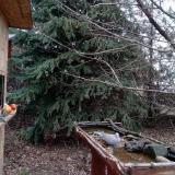 photo 2021-12-16 14-18-05