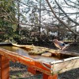 photo 2022-03-03 08-14-33