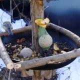 photo 2019-01-15 09-00-35