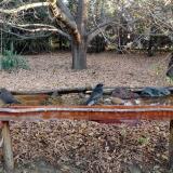 photo 2021-10-26 08-11-23