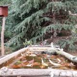 photo 2023-10-20 08-37-17