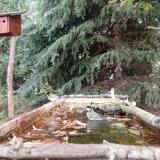 photo 2023-10-09 11-39-19